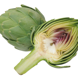 Artichoke PNG