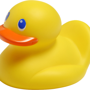 Rubber duck PNG