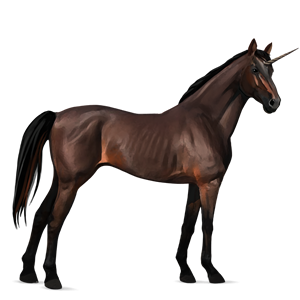 Unicorn PNG