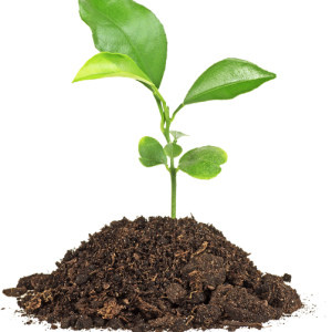 Soil PNG