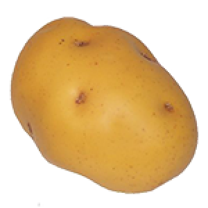Potato png images, pictures, free download