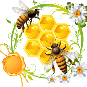 Bee PNG