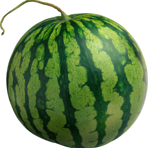 watermelon PNG image