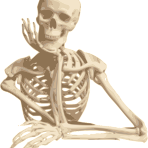 Skeleton PNG