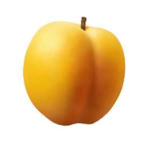 Orange apricot PNG