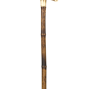 Walking stick PNG