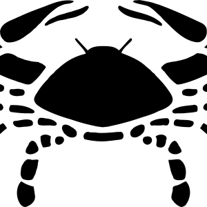 Cancer zodiac PNG