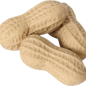 Peanut PNG