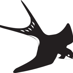 Swallow PNG