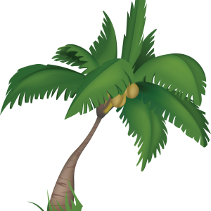 Palm tree PNG