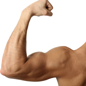 Muscle hand PNG