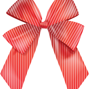 red ribbon bow PNG