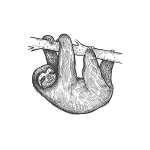 Sloth PNG
