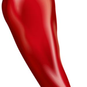 Chili pepper PNG