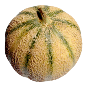 Melon PNG