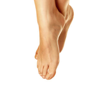 Legs PNG image, leg PNG