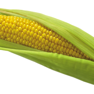 Corn PNG