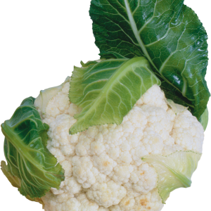 Cauliflower PNG
