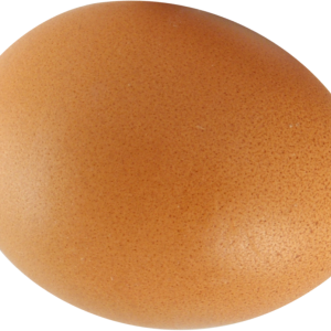 Egg PNG image