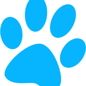 Paw PNG