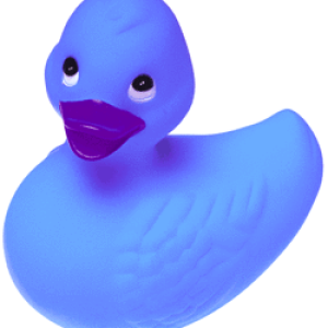 Rubber duck PNG