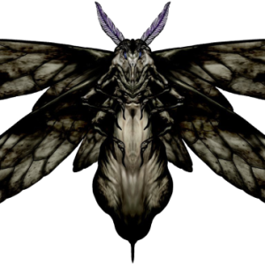 Moth PNG