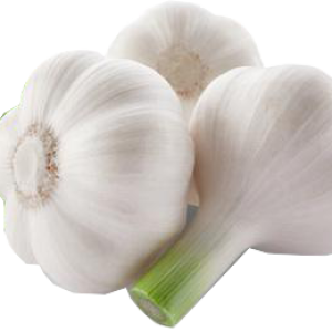 Garlic PNG