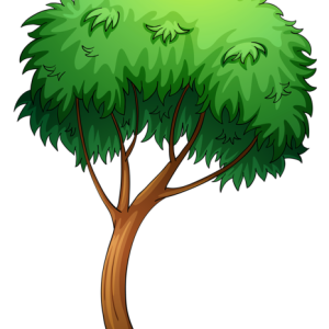 tree PNG