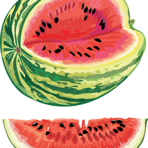 watermelon PNG image