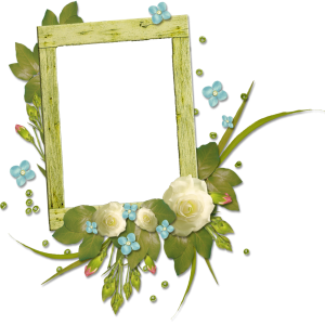 Floral frame PNG