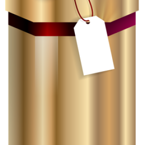 Gift box PNG