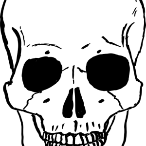 Skull PNG