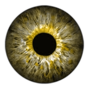 Eye PNG