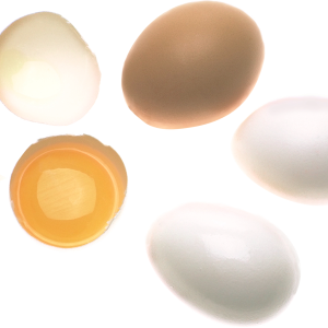 Eggs PNG