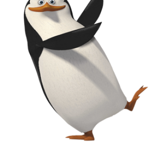Madagascar penguins PNG