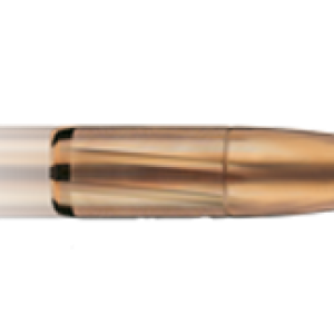 Bullets PNG image