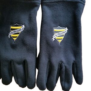 Gloves PNG