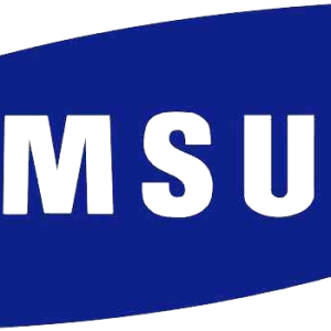Samsung logo PNG