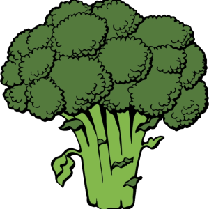 Broccoli PNG