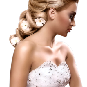 Bride PNG