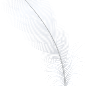 Feather PNG