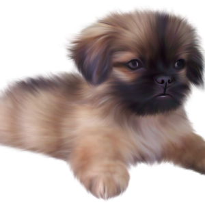 Dog PNG
