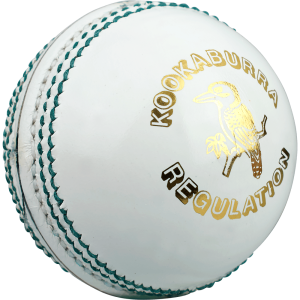 Cricket ball PNG