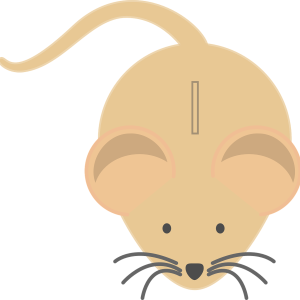Piggy bank PNG