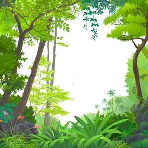 Jungle PNG