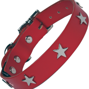 Dog collar PNG
