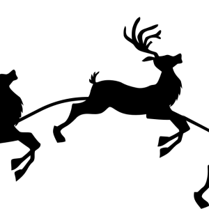 Santa Claus's reindeer PNG