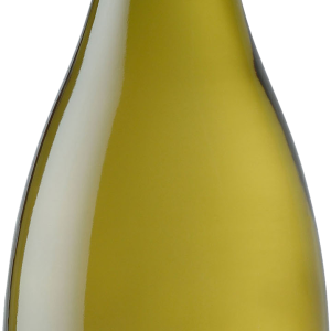 Wine bottle PNG image