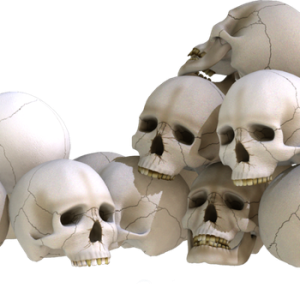 Skulls PNG
