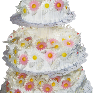 Wedding cake PNG